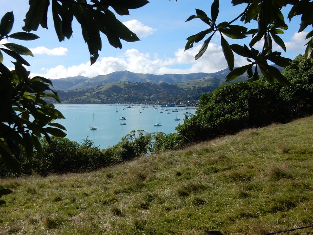 View back towards Akaroa