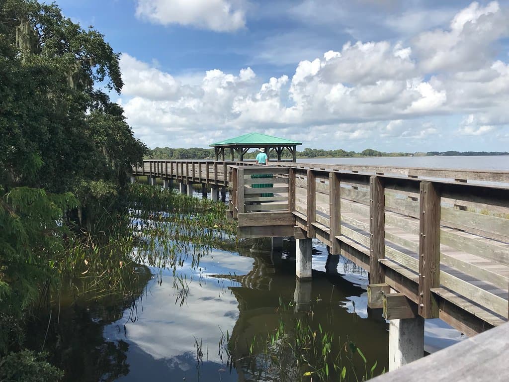 Walking the boardwalk