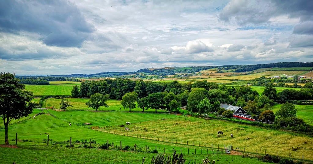 Guisborough Forest and Walkway