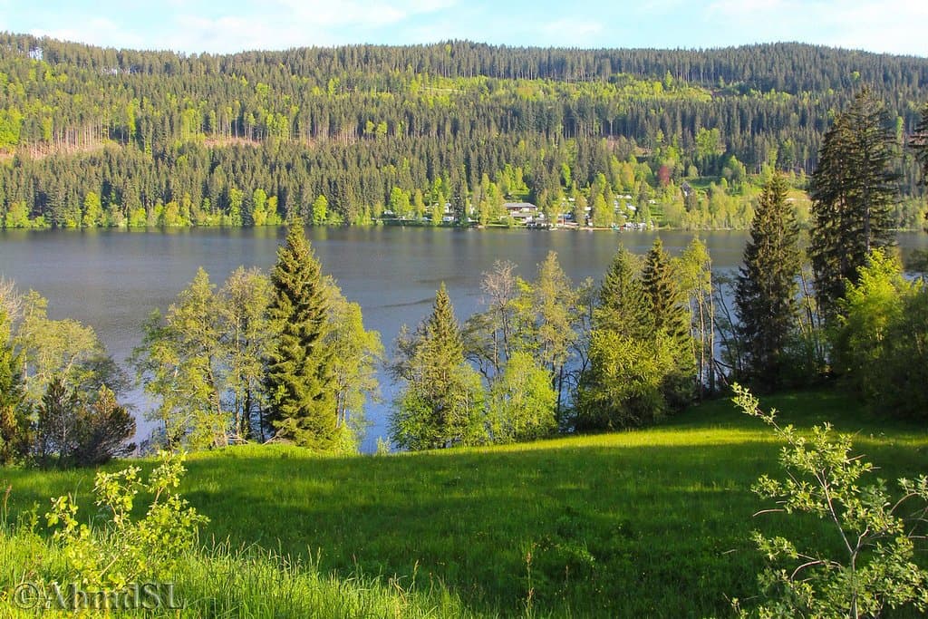 Titisee Black Forest