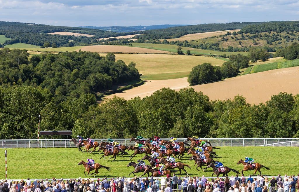 Racing against the beautiful backdrop of the South Downs