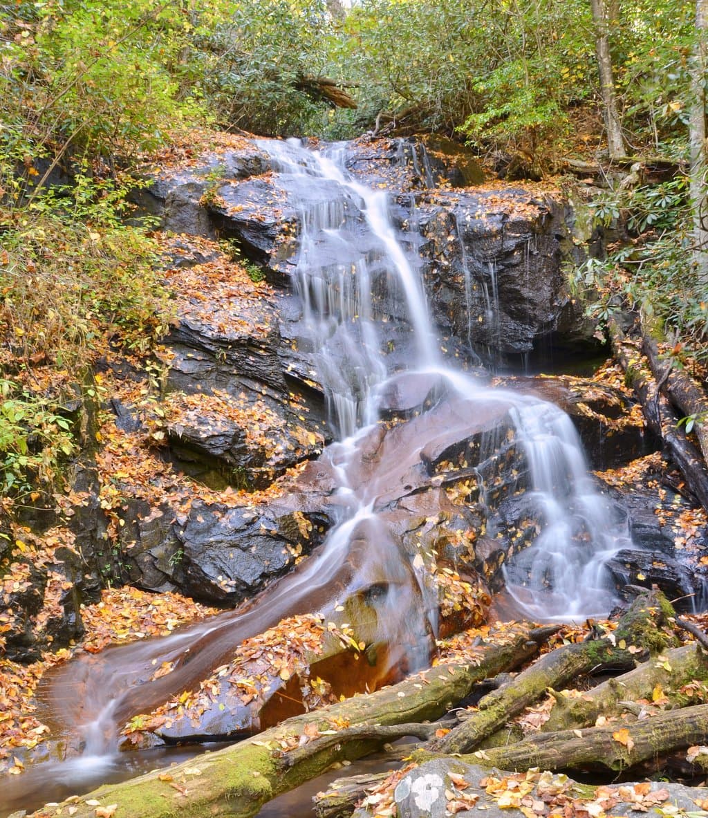 Log Hollow Falls