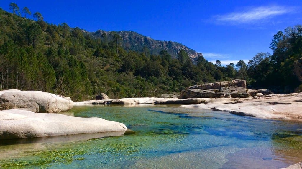 Que c'est beau et que c'est bon !