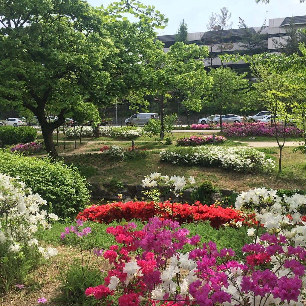 Jangchungdan Park Seoul