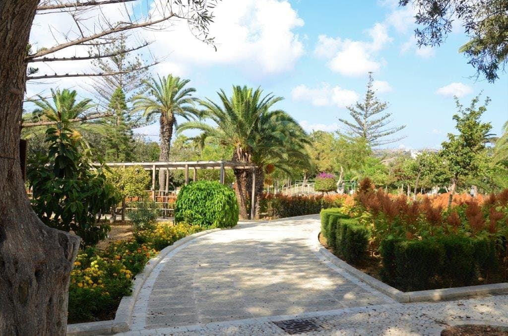 garden