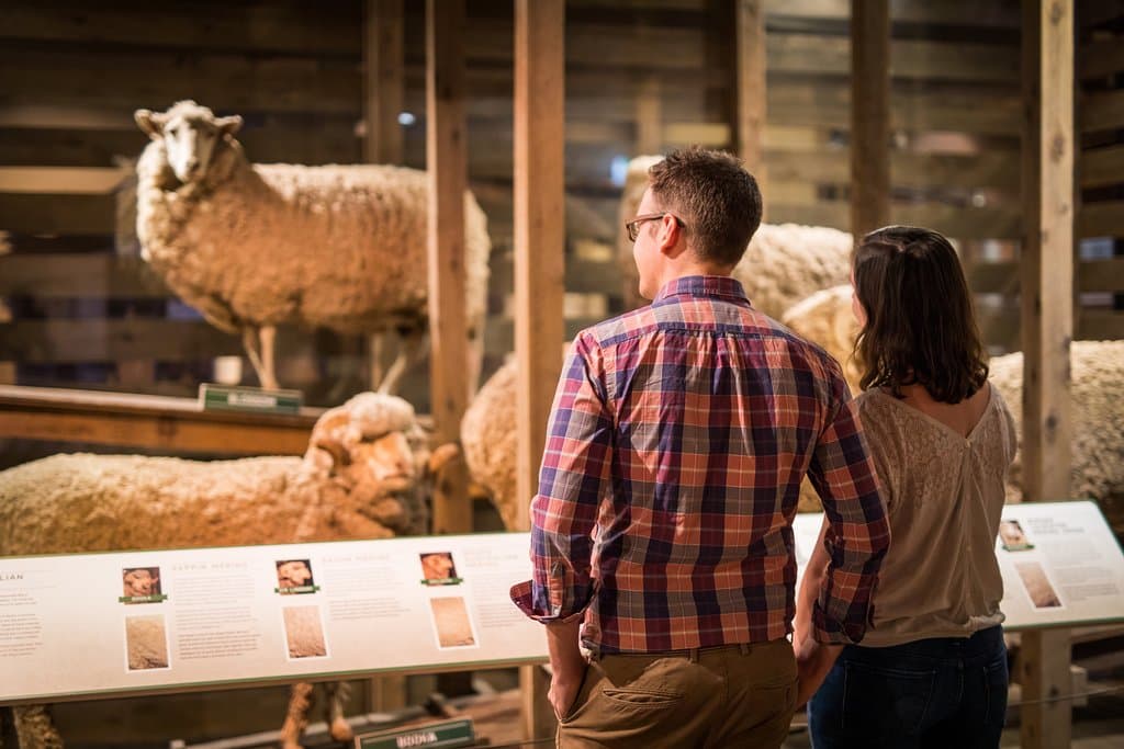 Gallery 1, National Wool Museum