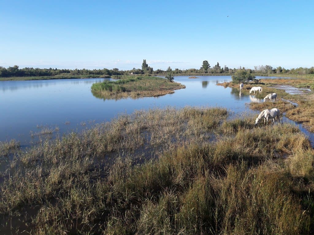 Vue depuis un des observatoires