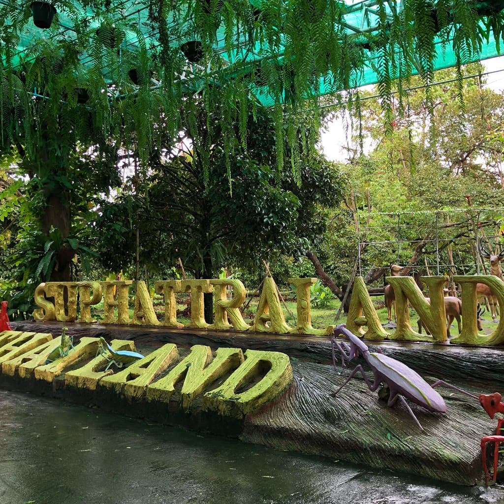 Ban Na San Fruit Orchards and Festival