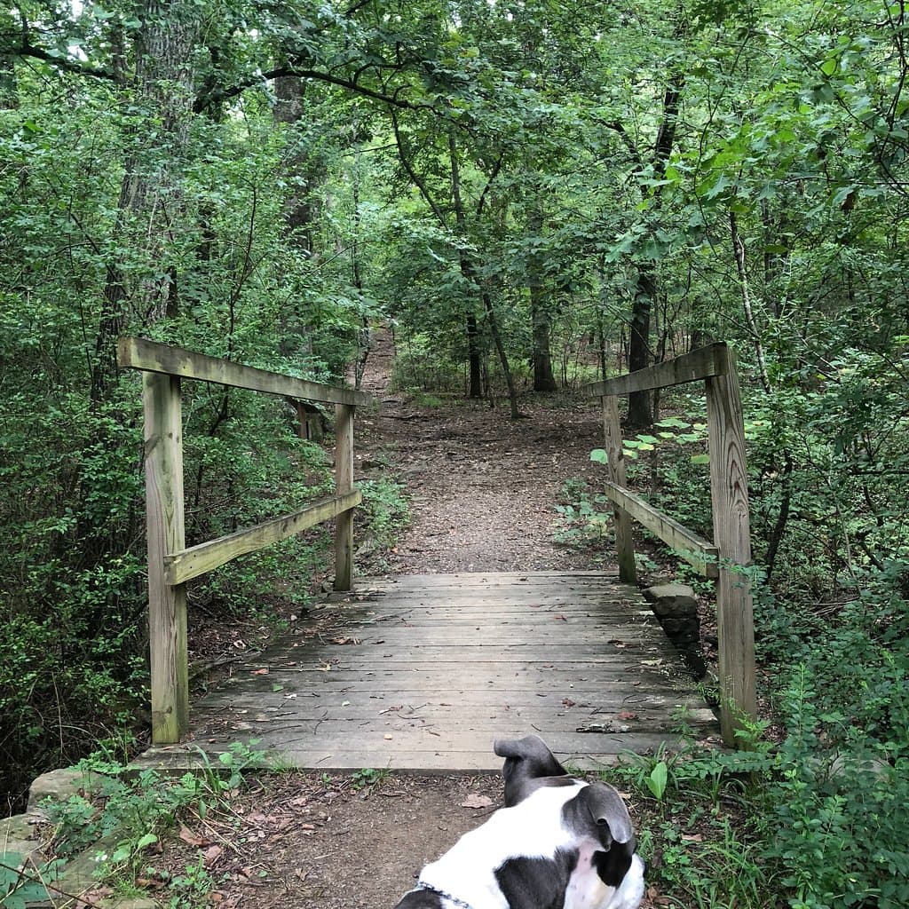 Wet beautiful park in middle of Little Rock. Not far from downtown. Hard to believe your in a ci