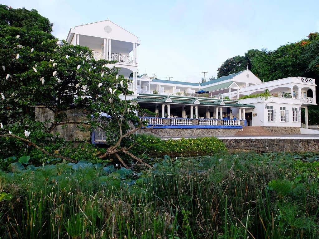 Tropical white beauty