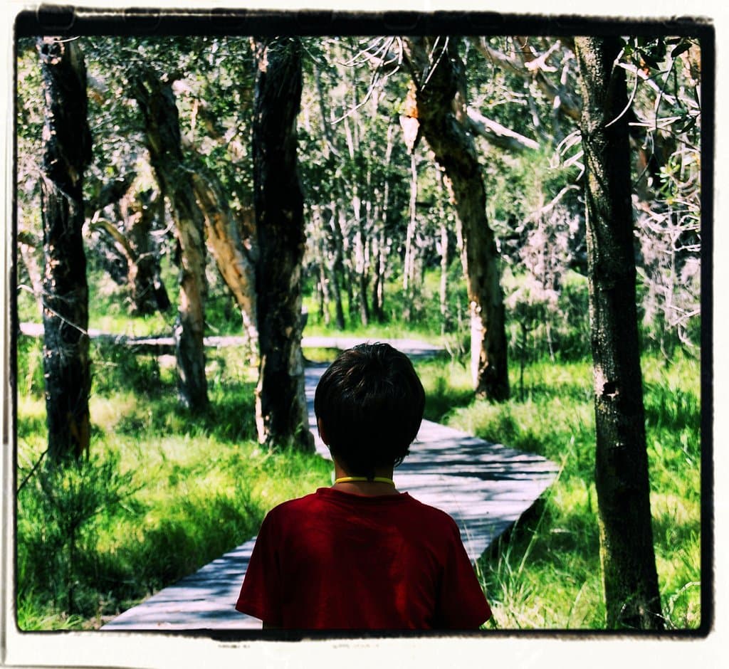 Bushtucker/Beach Walk