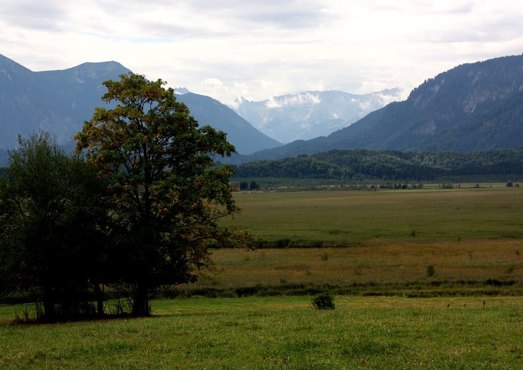Blick zu den Voralpen