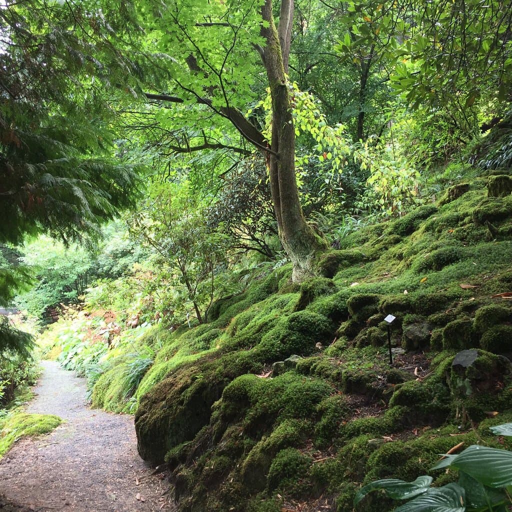 Botanical Garden Bad Schandau