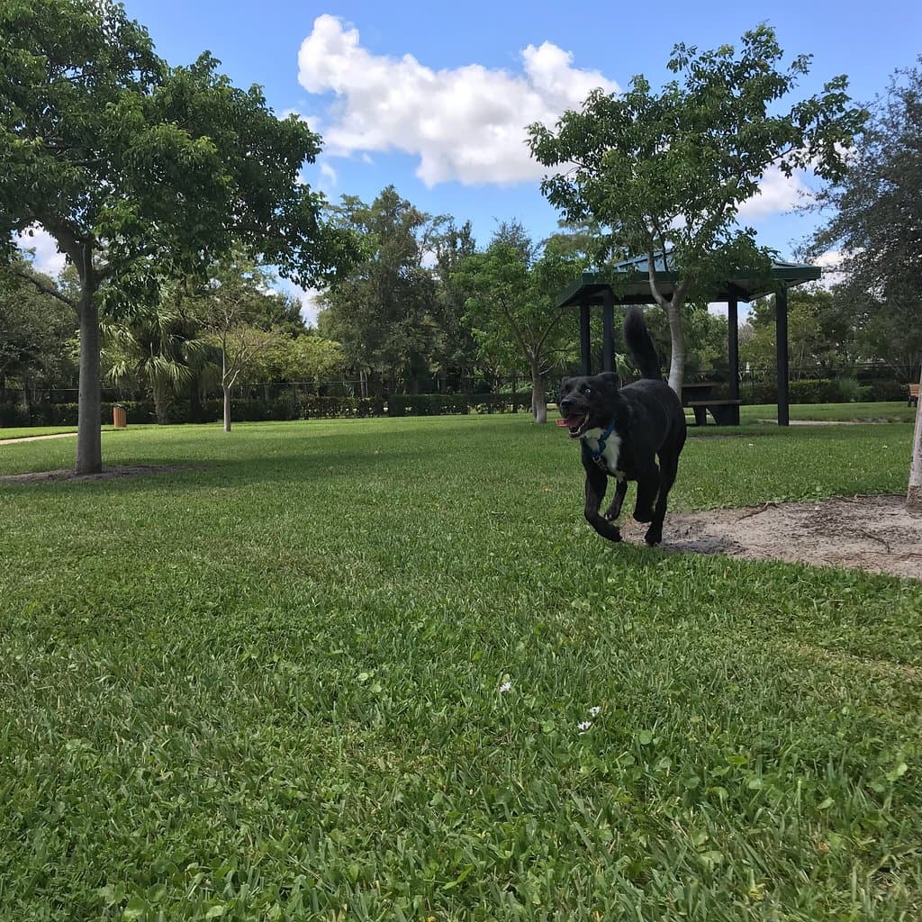 Barkland Dog Park