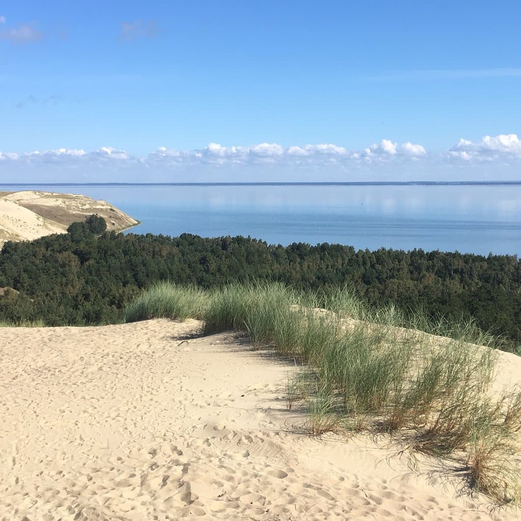 Nagliai Dead Dunes