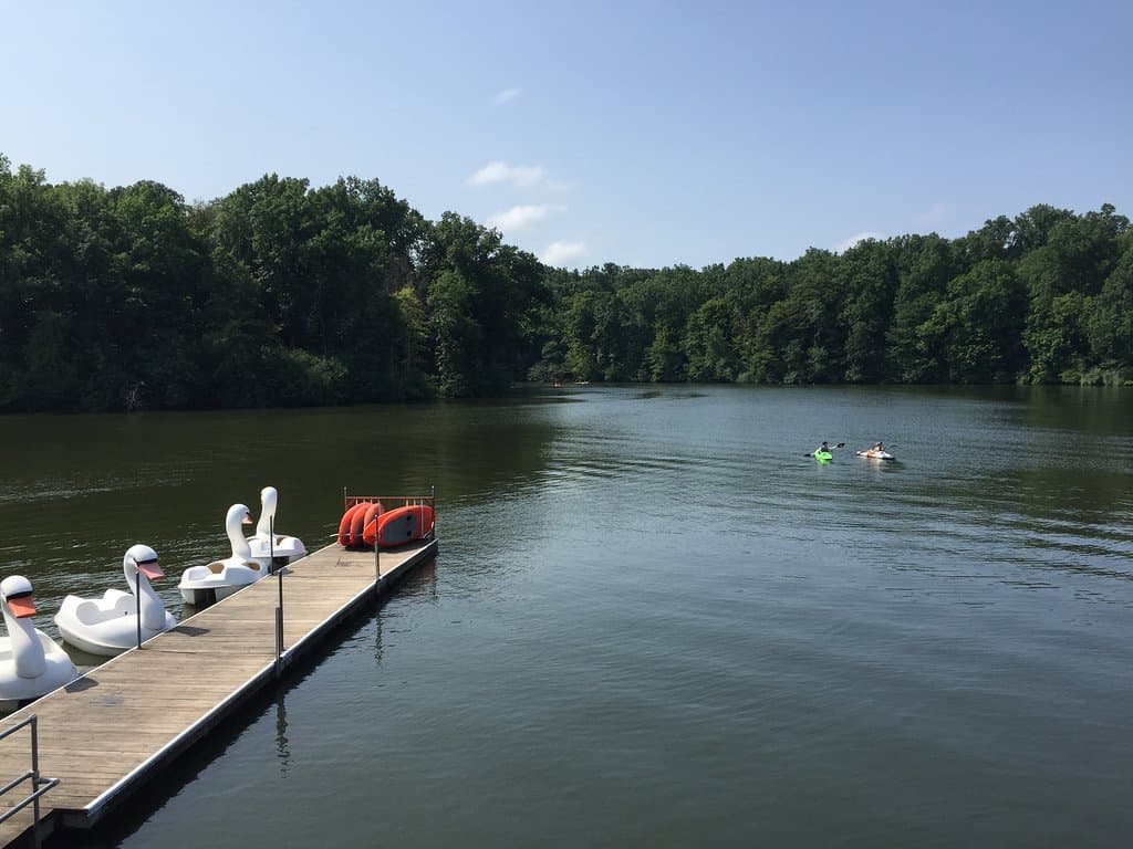 Miami Whitewater Forest