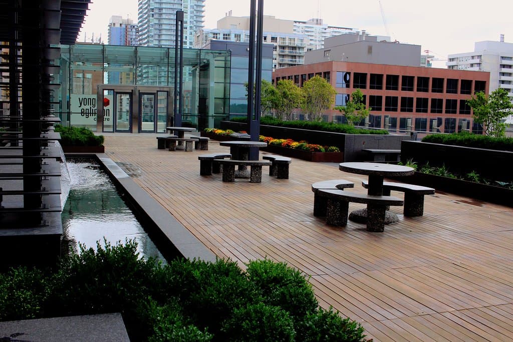 Rooftop garden/patio facing east