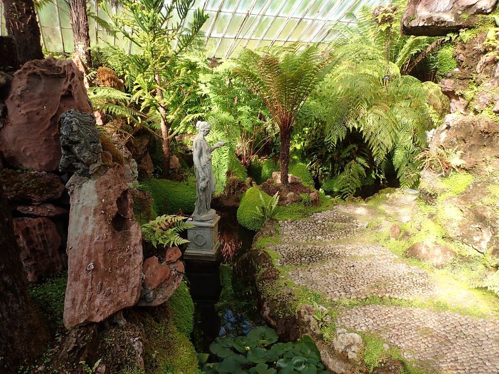 Inside the Fernery