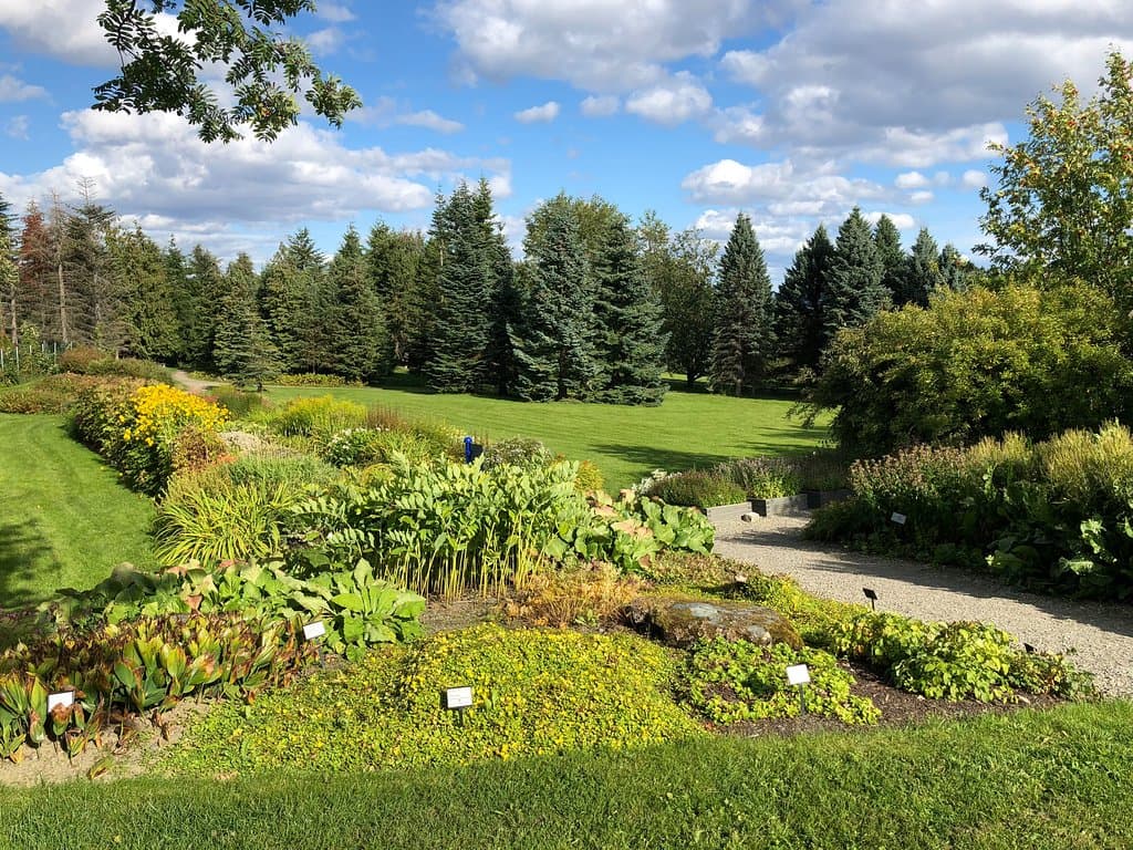 Rolig sjel, stille sinn.