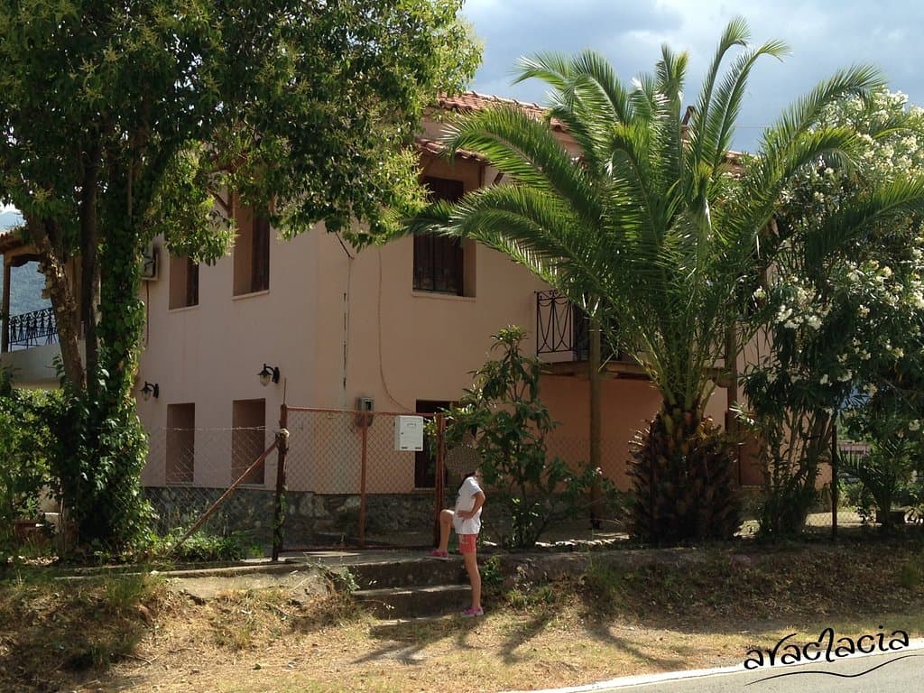 Ο δρόμος-Εθνική Οδός Σπάρτη-Καλαμάτας, λίγο πριν την είσοδο του Σαϊνοπούλειου