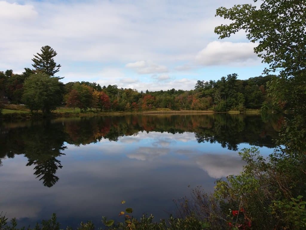Cotton Valley Rail Trail
