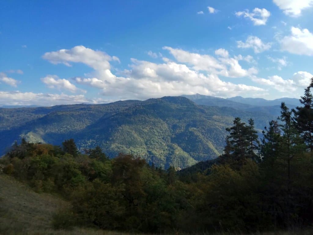 Borjomi-Kharagauli National Park Visitor Center
