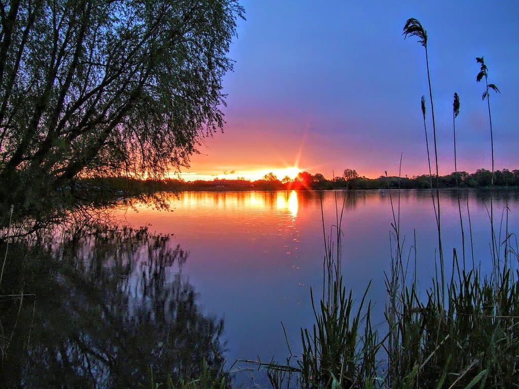 Priory Country Park