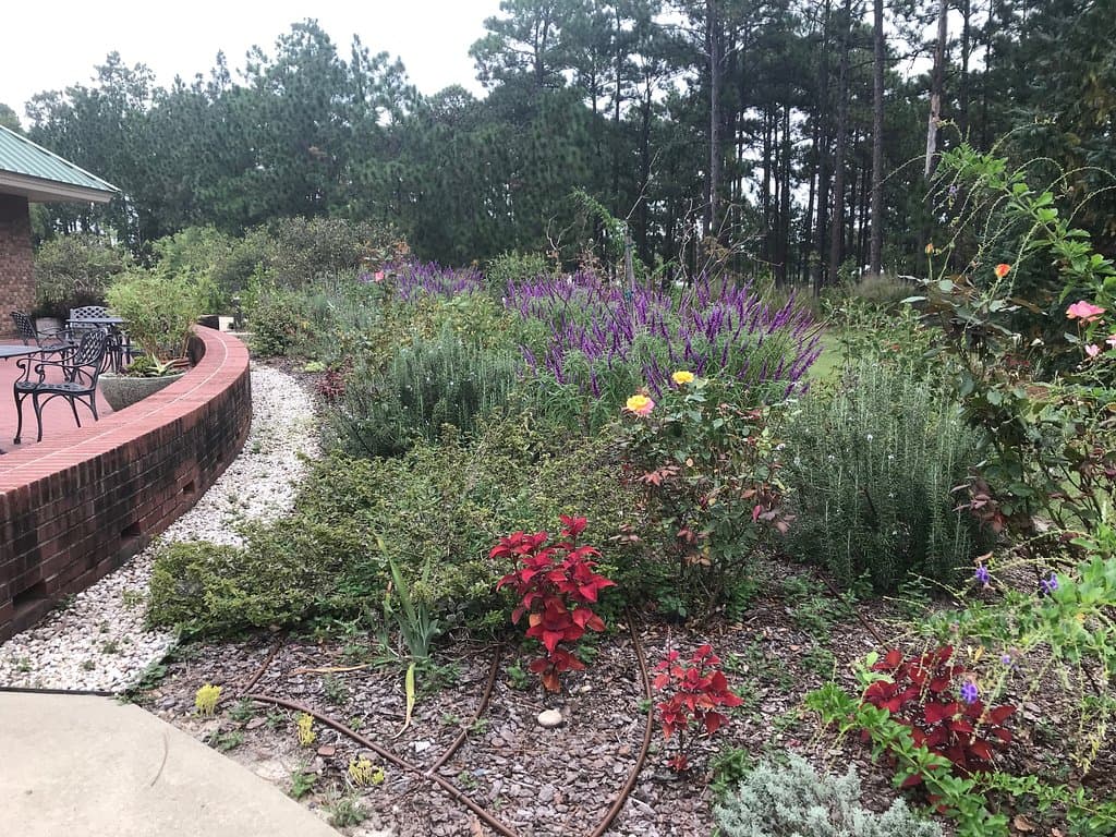 Plantings near the visitors center with outdoor furniture