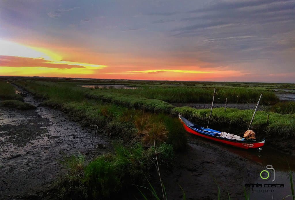 Pôr do sol - Passadiços de Esgueira
