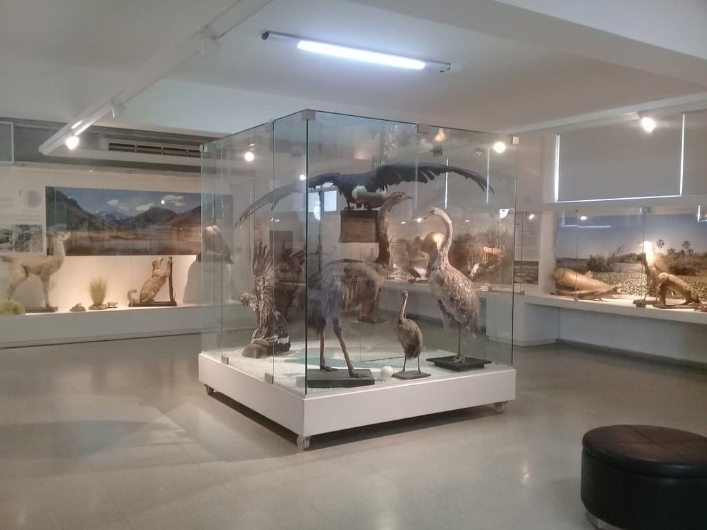 Museo Moyano Ciencias Naturales y Antropológicas