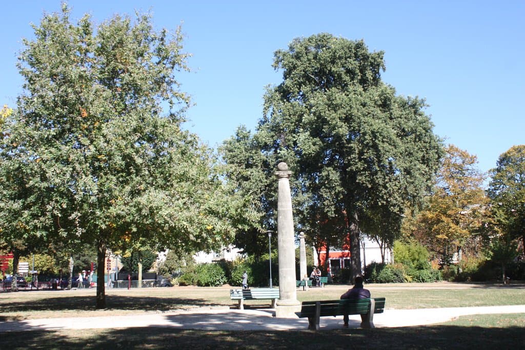 Ménagerie Garden Topiary