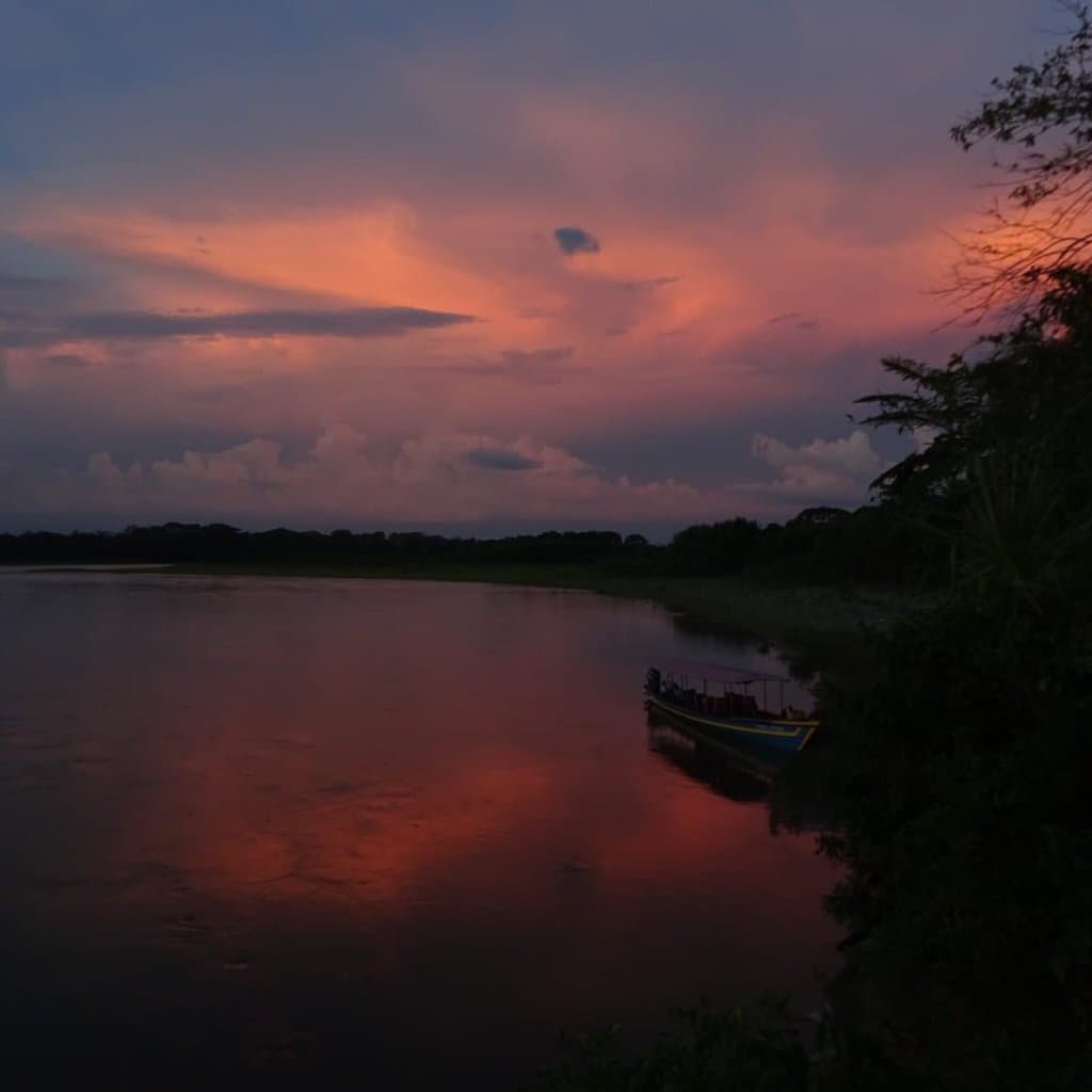 Manu National Park Peru