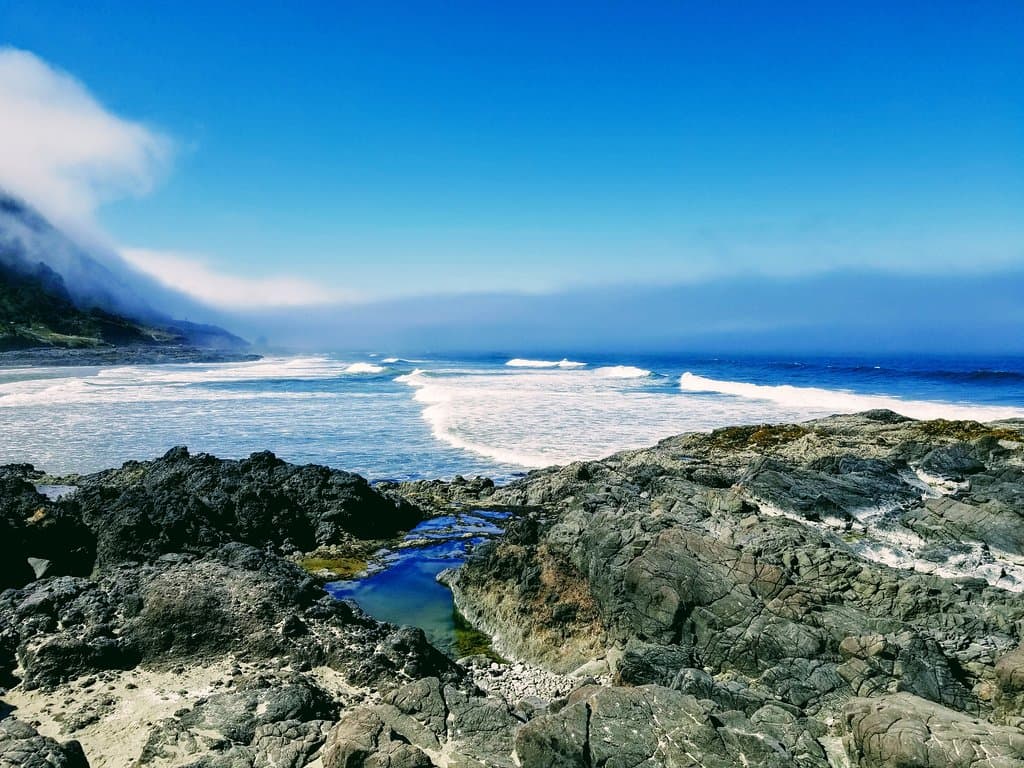 Cape Perpetua Scenic Area
