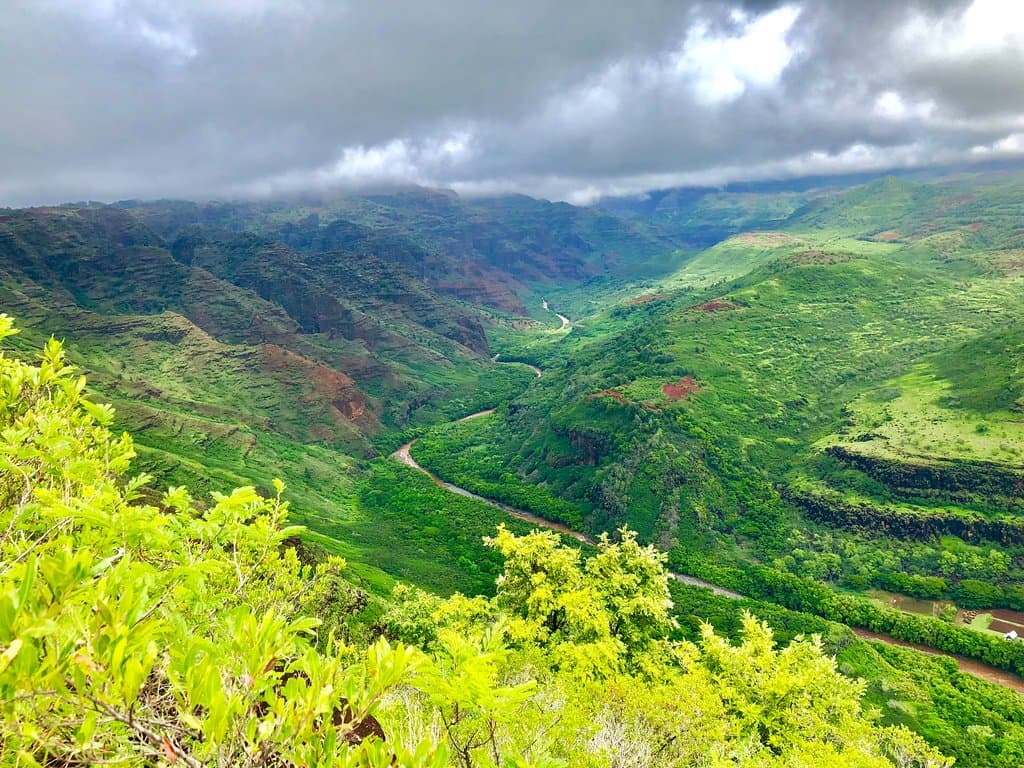 Waimea Canyon State Park