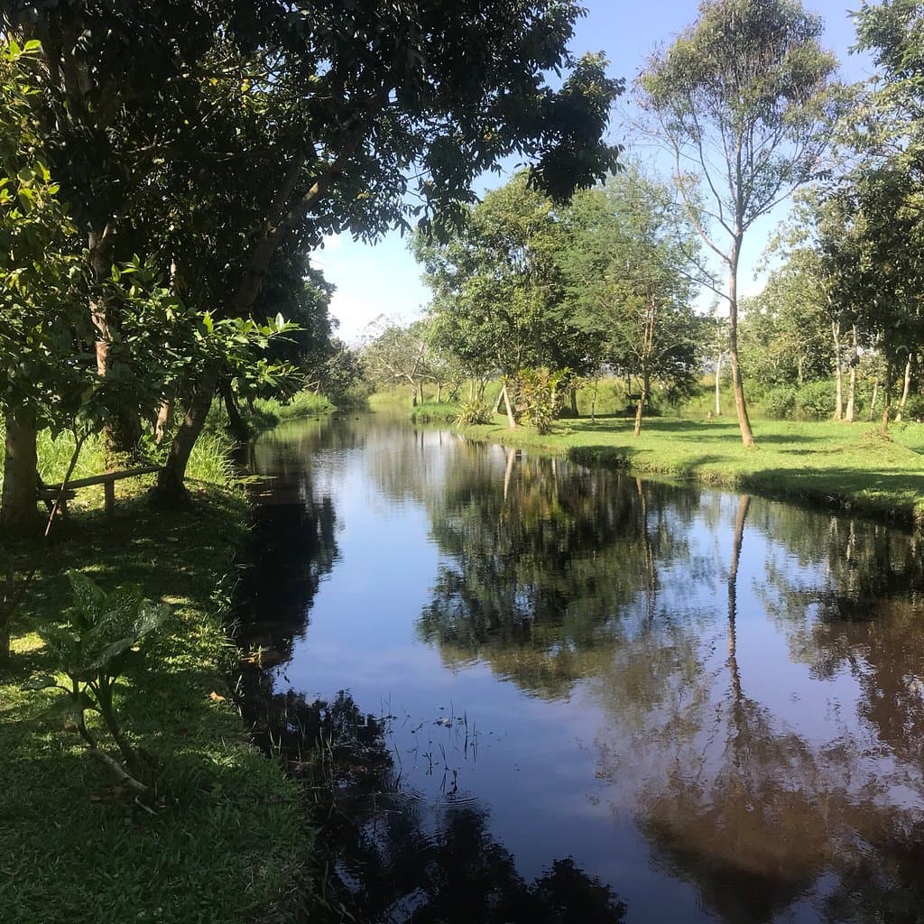 Uganda Reptile Village
