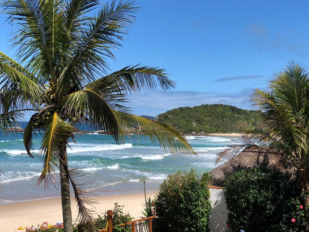 Quatro Ilhas Neighborhood