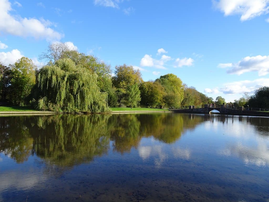 Lakes at Verulamium Park