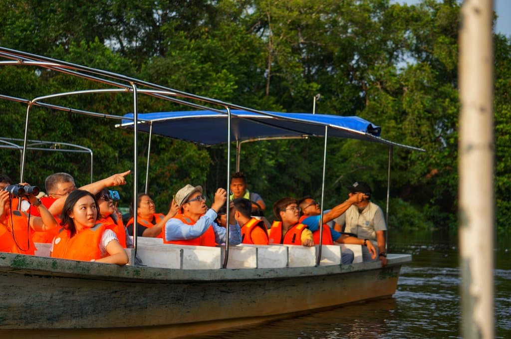 Guest on the river cruise boat spotting the proboscis monkeys 