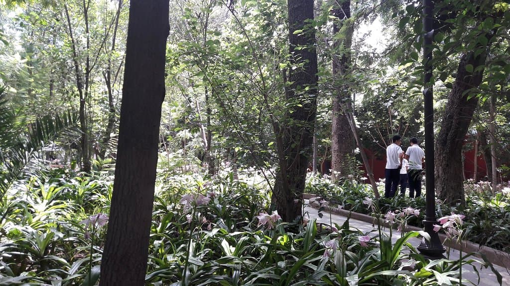 El Parque Florencio Antillón cercano al Jardín Embajadoras