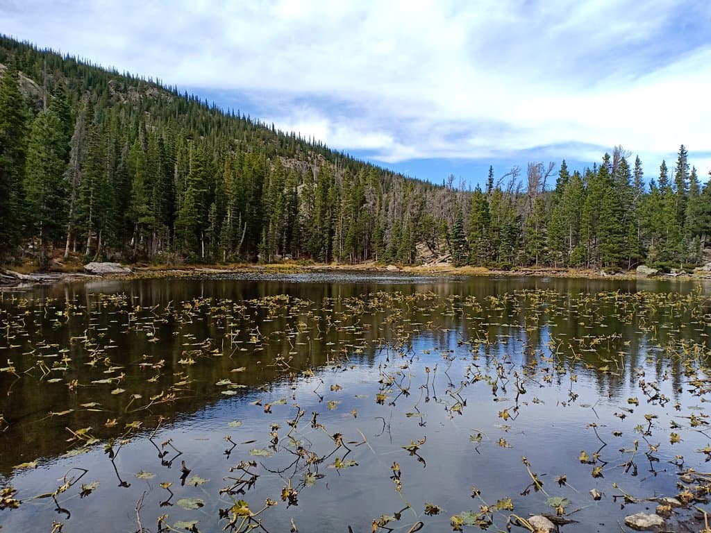 Nymph Lake