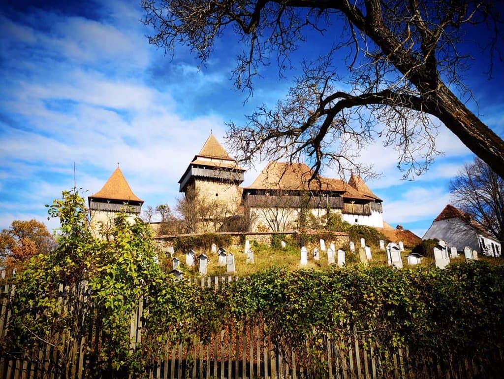 Instagram @palakpakhan