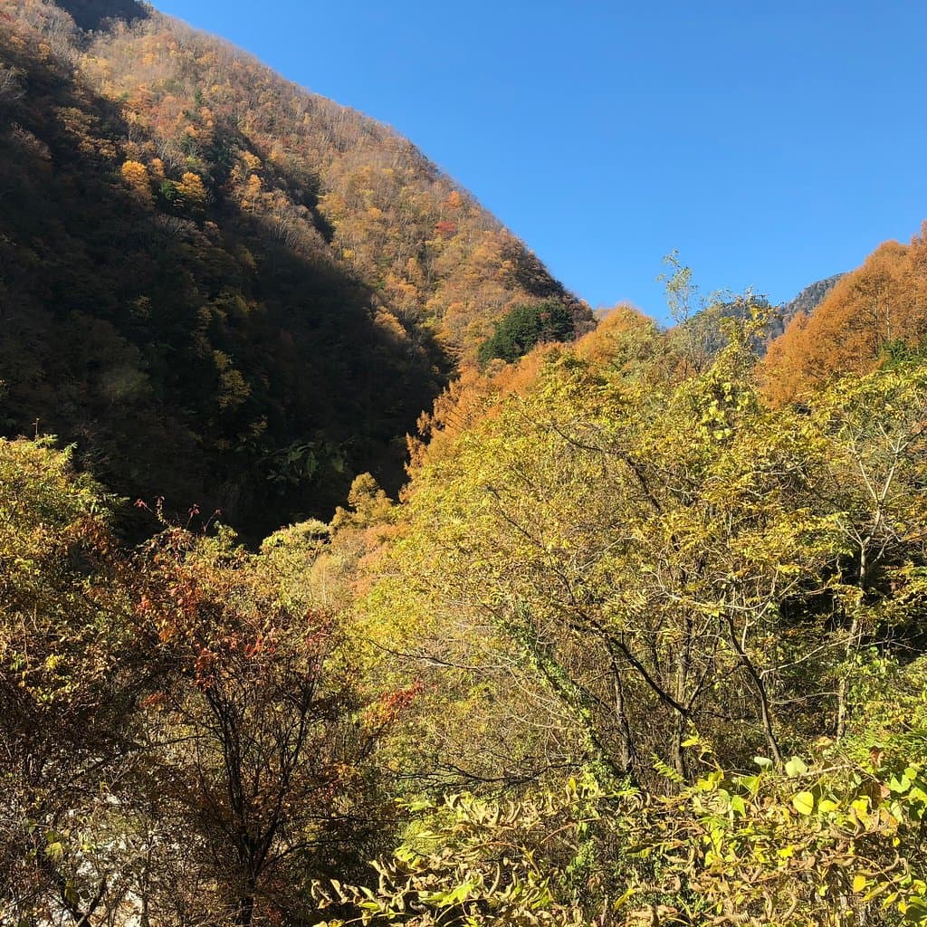 Chuo Alps Geopark Visitor Center