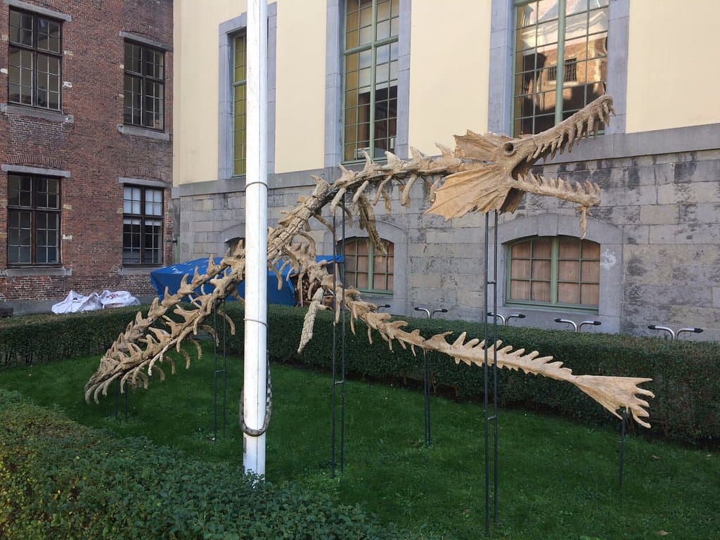 Drakenskelet aan de ingang