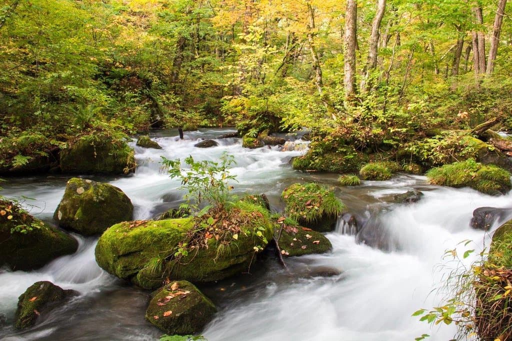 紅葉初めの阿修羅の流れ１