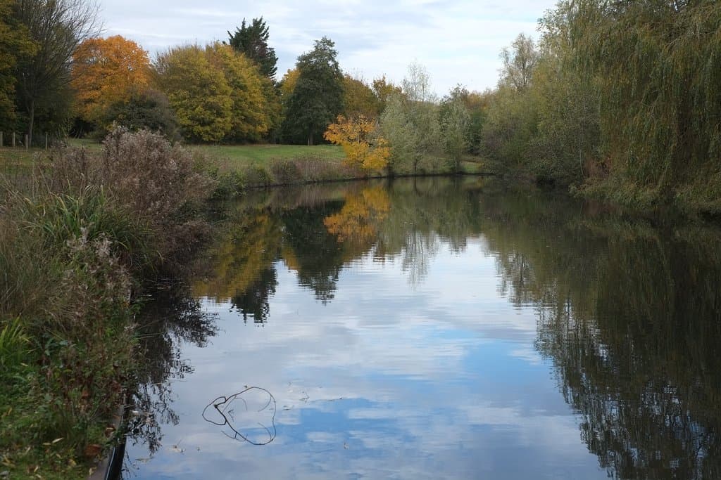 Lakes in Fairlands Park