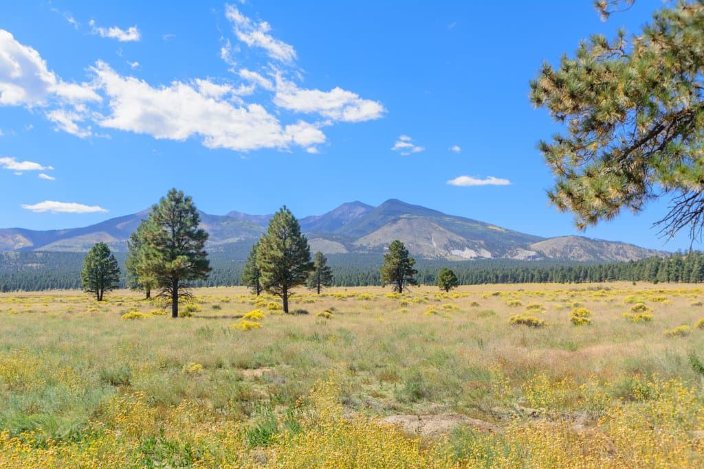 Sunset Crater Volcano National Monument