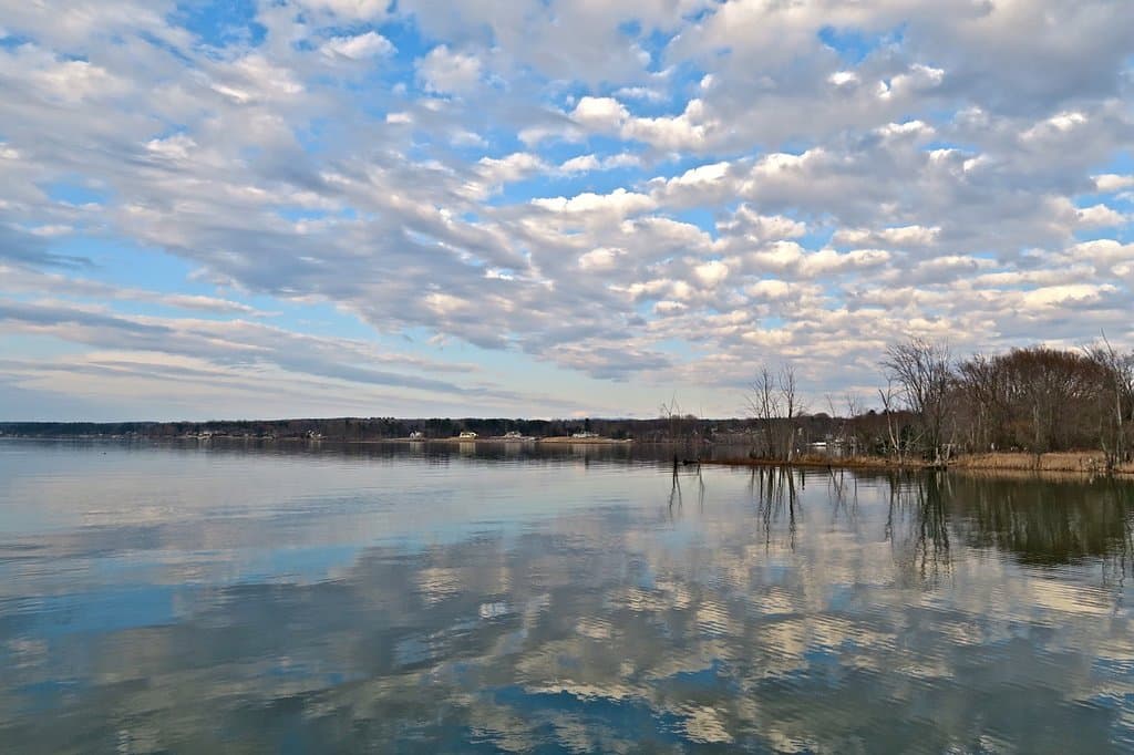view from boat launch area at the Park