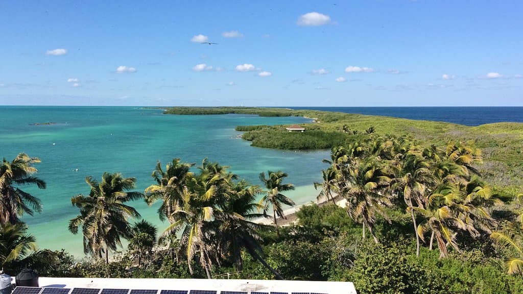 Isla Contoy una reserva natural, rufugio de aves migratorias. Como se ve en la foto un paraiso gracias a no estar habitada, es visitada por turistas solo por medio de tour para asi poder controlar la contidad de personas que la visitan por dia.