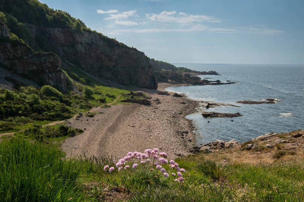 Foto: Torbjörn Lingöy