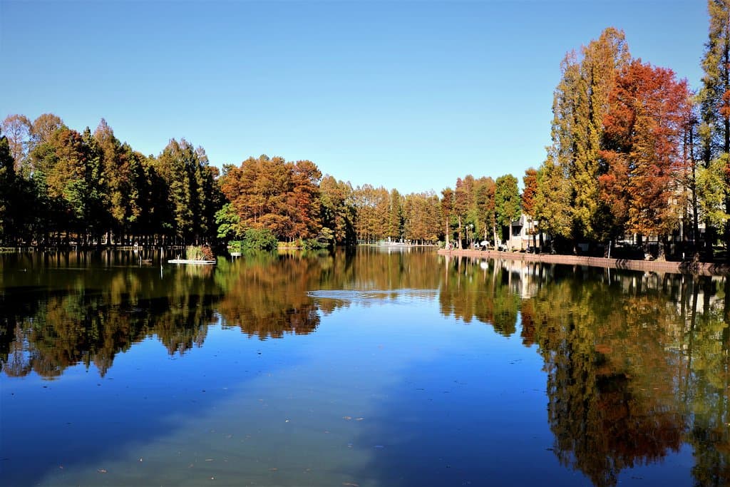 池の奥には噴水があります